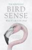 Bird_sense