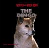 The_dingo