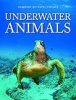 Underwater_animals