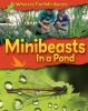 Minibeasts_in_a_pond