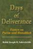 Days_of_deliverance