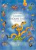 The_Puffin_book_of_classic_Indian_tales_for_children