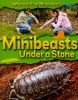 Minibeasts_under_a_stone