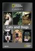 Cats_and_dogs