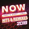 Now_that_s_what_I_call_hits___remixes