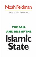 The_fall_and_rise_of_the_Islamic_state